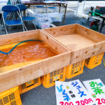 お祭りで大活躍の『木頭杉の水槽』